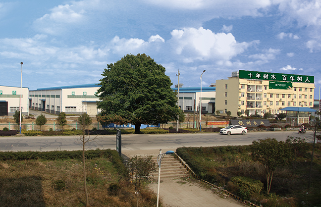 万树地板万树地板工业园